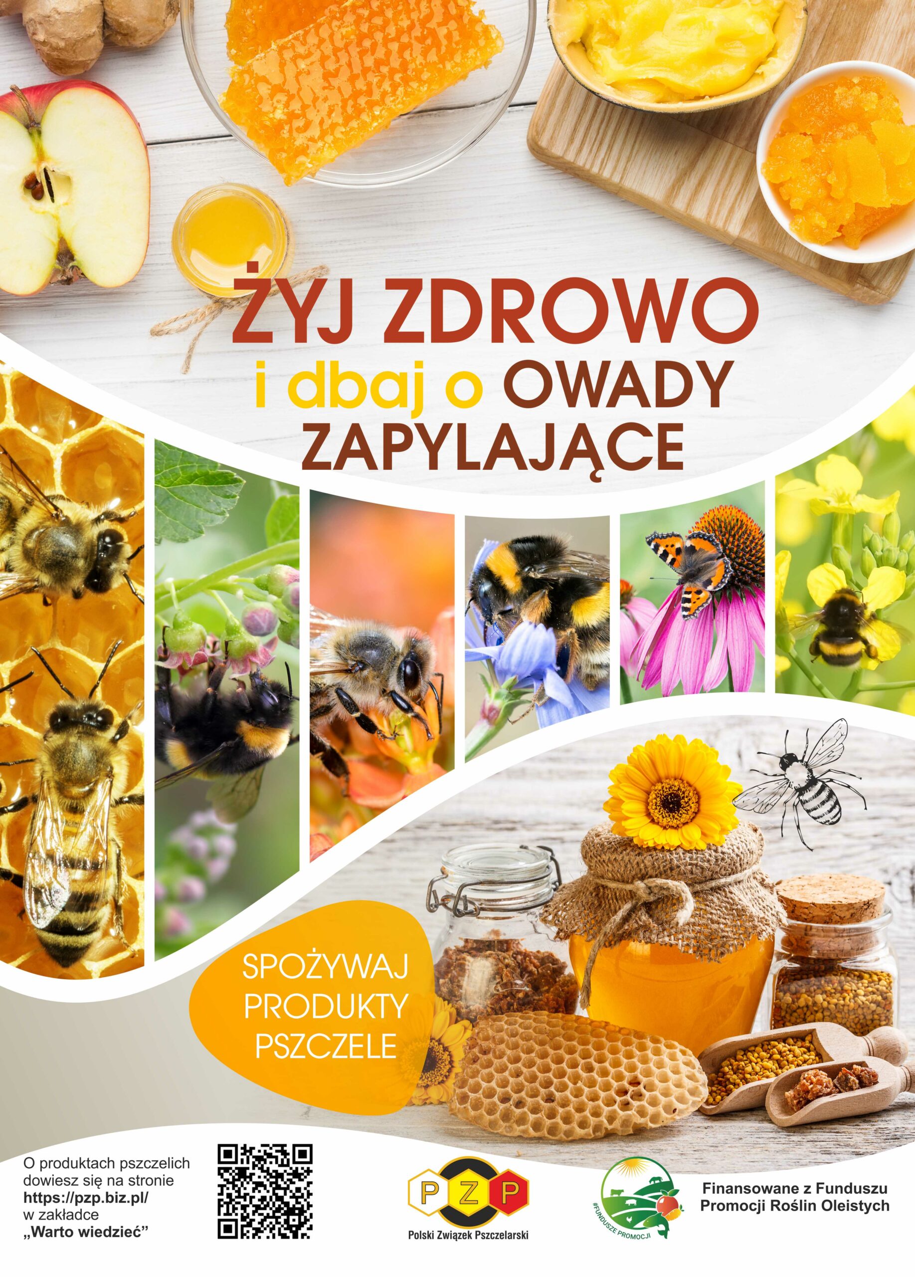 Regionalny Związek Pszczelarzy z siedzibą w Koninie - 3