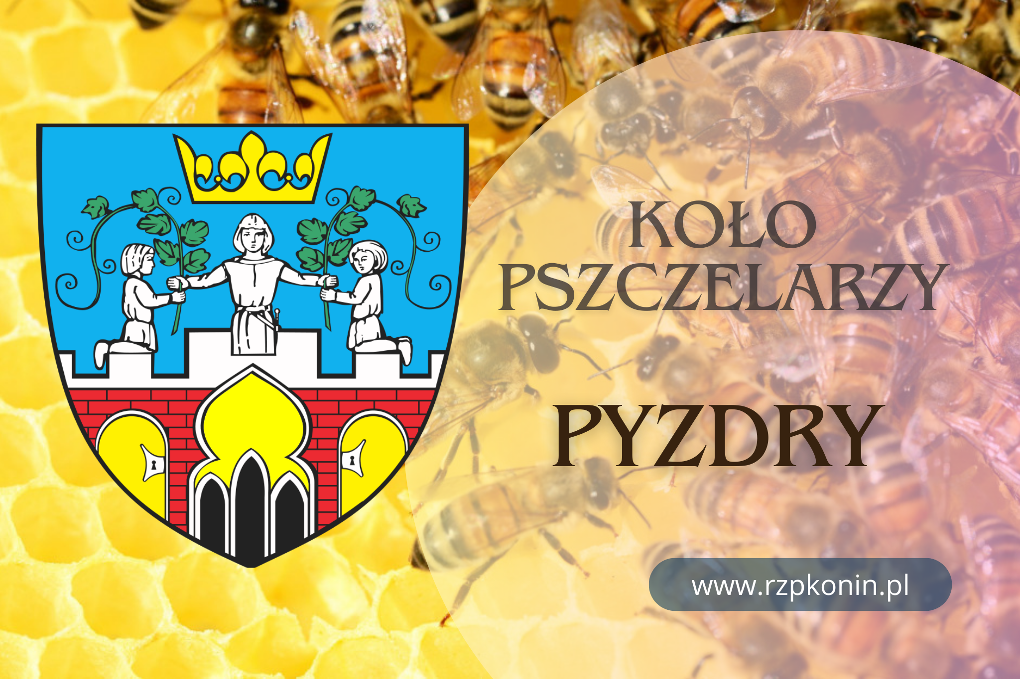 Regionalny Związek Pszczelarzy z siedzibą w Koninie - 2 RZP KONIN - informacje o Kole Pszczelarzy w Pyzdrach