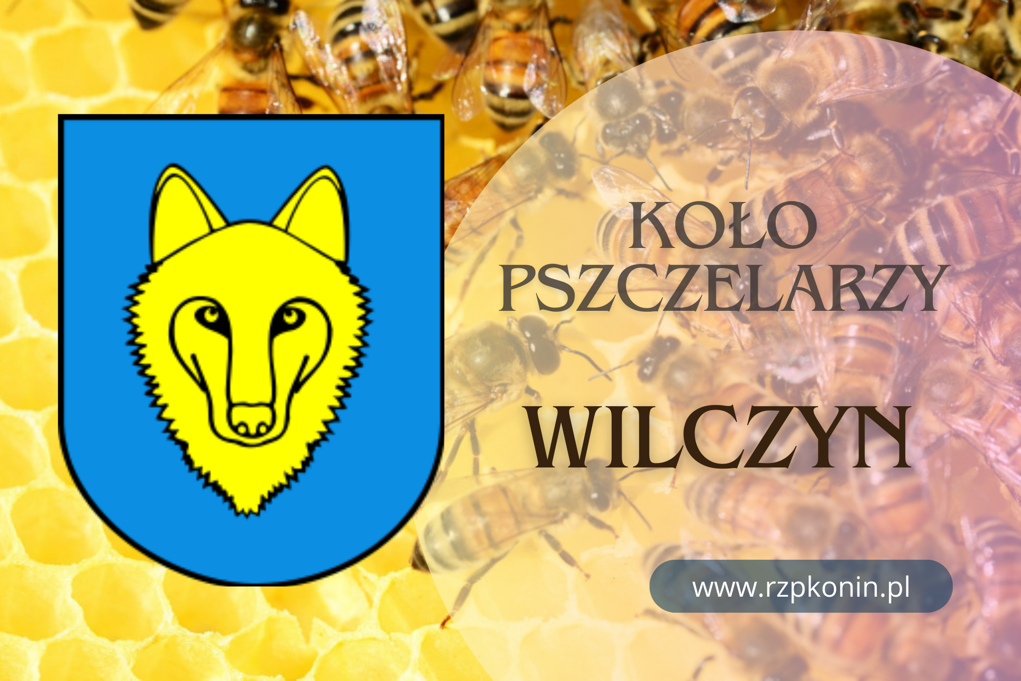 RZP KONIN - informacje o Kole Pszczelarzy w Wilczynie
