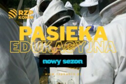Regionalny Związek Pszczelarzy z siedzibą w Koninie - 6 Pasieka edukacyjna w nowym sezonie 2025