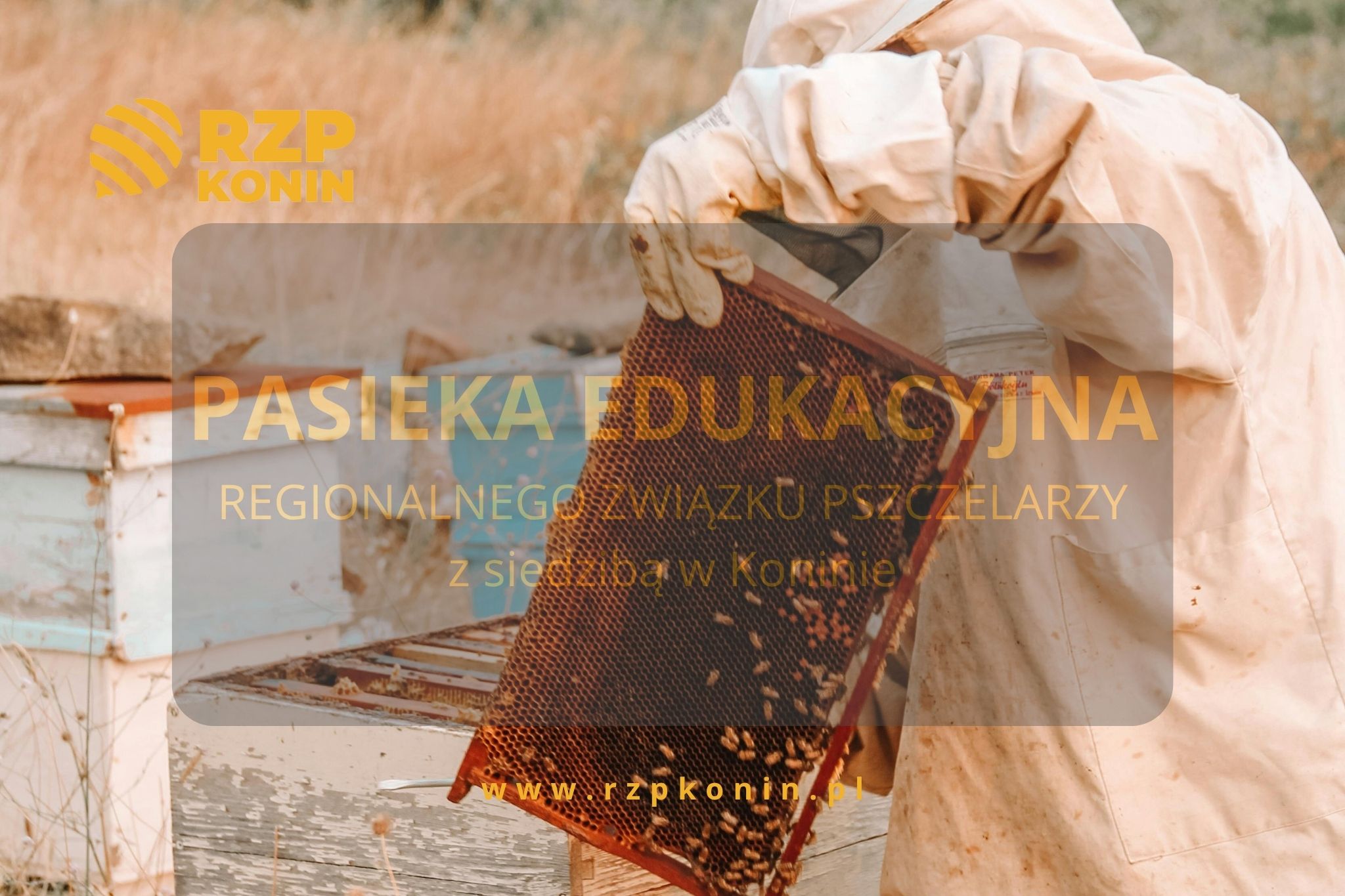 Pasieka edukacyjna RZP Konin