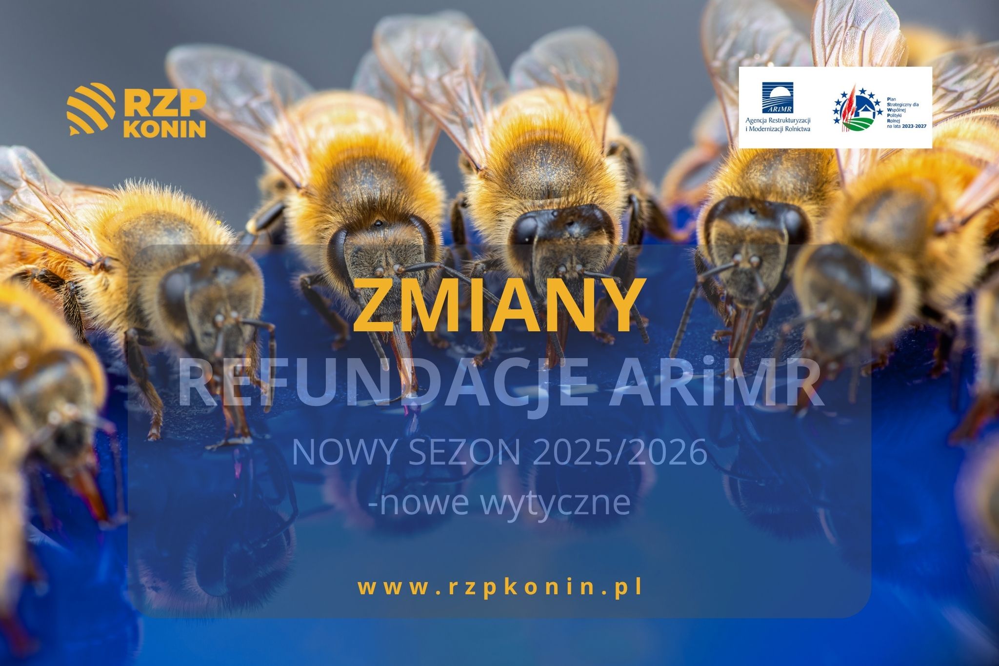 Regionalny Związek Pszczelarzy z siedzibą w Koninie - 2 Nowe zmiany w tegorocznym rozdaniu projektowym