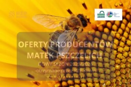 Regionalny Związek Pszczelarzy z siedzibą w Koninie - 2 Oferty na zakup pszczół w roku 2026 otrzymane przez RZP Konin