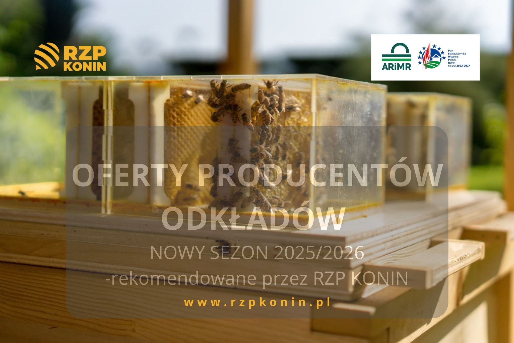 Regionalny Związek Pszczelarzy z siedzibą w Koninie - 2 Oferty na odkłady/pakiety na rok 2026 z rekomendacją RZP Konin